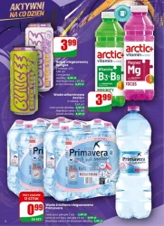 Codzienne hity dla domu - Dino