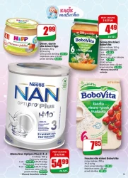 Codzienne hity dla domu - Dino