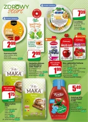 Codzienne hity dla domu - Dino