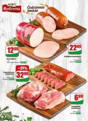 Codzienne hity dla domu - Dino