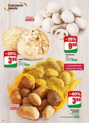 Щоденні хіти для дому - Dino