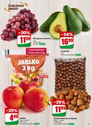 Codzienne hity dla domu - Dino