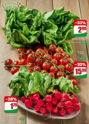 Щоденні хіти для дому - Dino