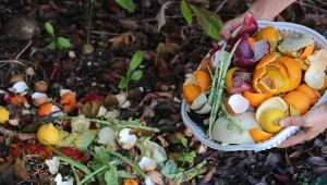 Angielscy ogrodnicy dodają do kompostu 1, ciekawy składnik. Fot. Yesim Sahin/Canva Pro