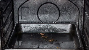 Jak doczyściłam piekarnik po świętach? Fot. Photosampler/Canva Pro