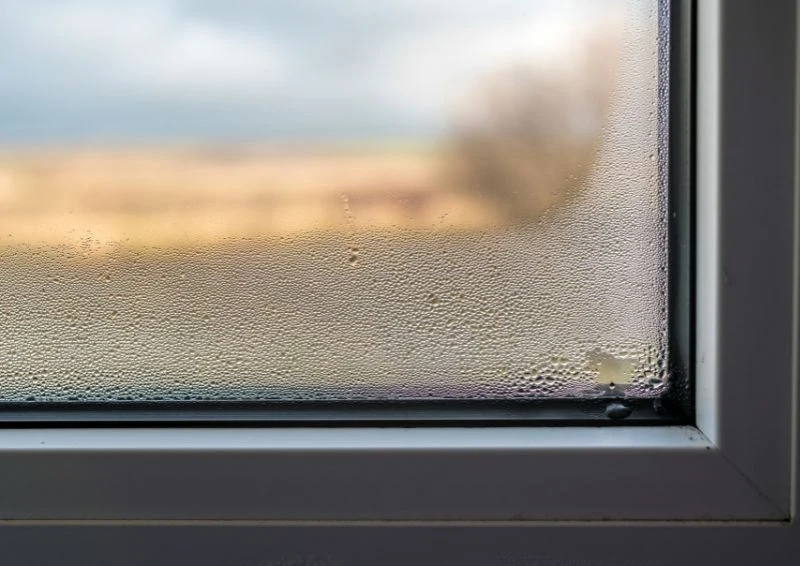 Wilgoć zbierająca się na oknie zawsze wygląda mało estetycznie.