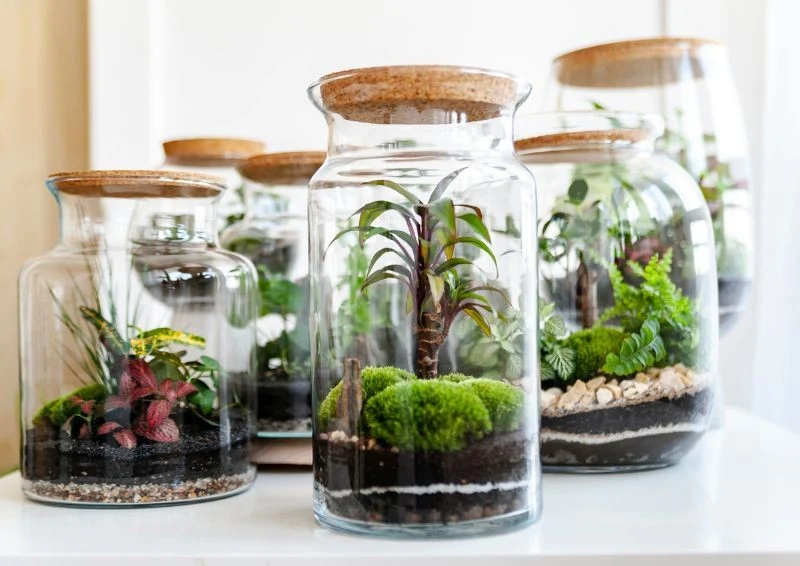 Las w słoiku to idealna ozdoba do salonu lub sypialni.