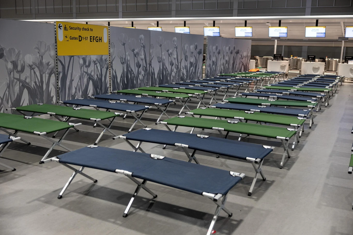 Rząd rozstawionych łóżek polowych w dużym, jasnym pomieszczeniu, pod tablicami informacyjnymi z oznaczeniami stref. Brak obecności ludzi, puste stanowiska i tło sugerujące przestrzeń tymczasową lub awaryjną.