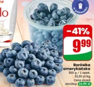 Borówka amerykańska