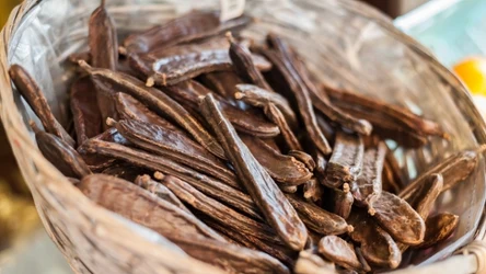 Ze strąków szarańczynu strąkowego wytwarzany jest karob