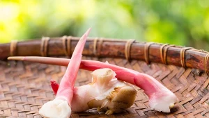 Mało znany kuzyn imbiru wkracza do europejskiej kuchni. Jest bardzo zdrowy