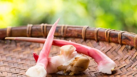 To naturalny lek i aromatyczna przyprawa w jednym