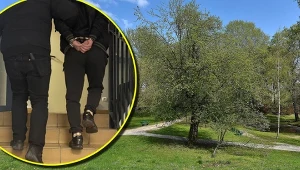 Mieli podpalić mężczyznę i ukryć jego ciało w studzience. Kobieta i jej nastoletni syn trafili do aresztu