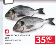 Dorada Ok.