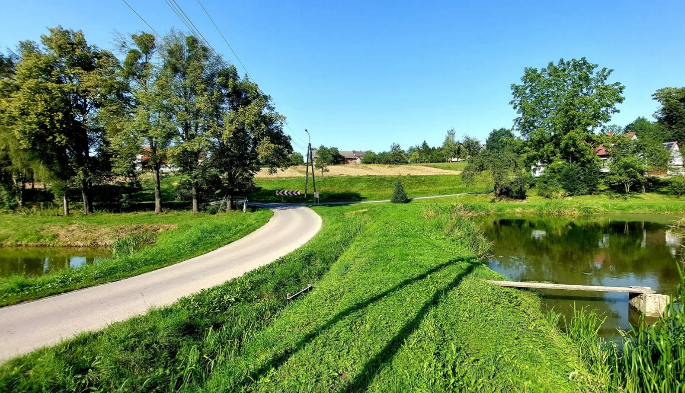 Krajobraz wiejski z falistą, wąską asfaltową drogą biegnącą przez zieloną łąkę, otoczoną drzewami oraz niewielkim stawem. W oddali widoczne są domy i gospodarstwa, niebo bezchmurne, w tle linie energetyczne.