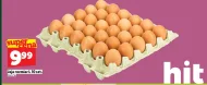 Jaja Hit