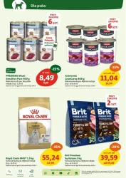 Wszystko dla Twojego pupila - Maxi ZOO