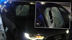 Wypadek na trasie S5 w kierunku Poznania