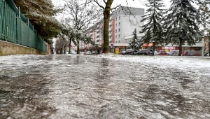 Z tym składnikiem od razu rozprawisz się z lodem.