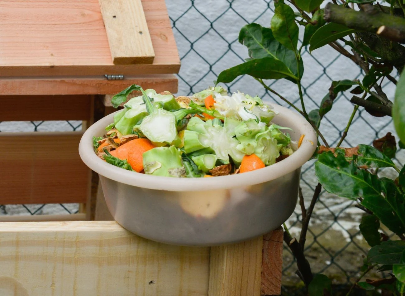 Wapno algowe dodane do kompostu wspiera mikroorganizmy odpowiedzialne za rozkład materii organicznej, poprzez stabilizację odczynu pH