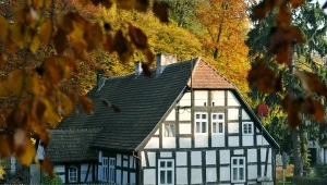 Małe cudo na zachodzie Polski. Wieś zachwyca od pierwszego wejrzenia