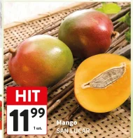 Mango San Lucar
