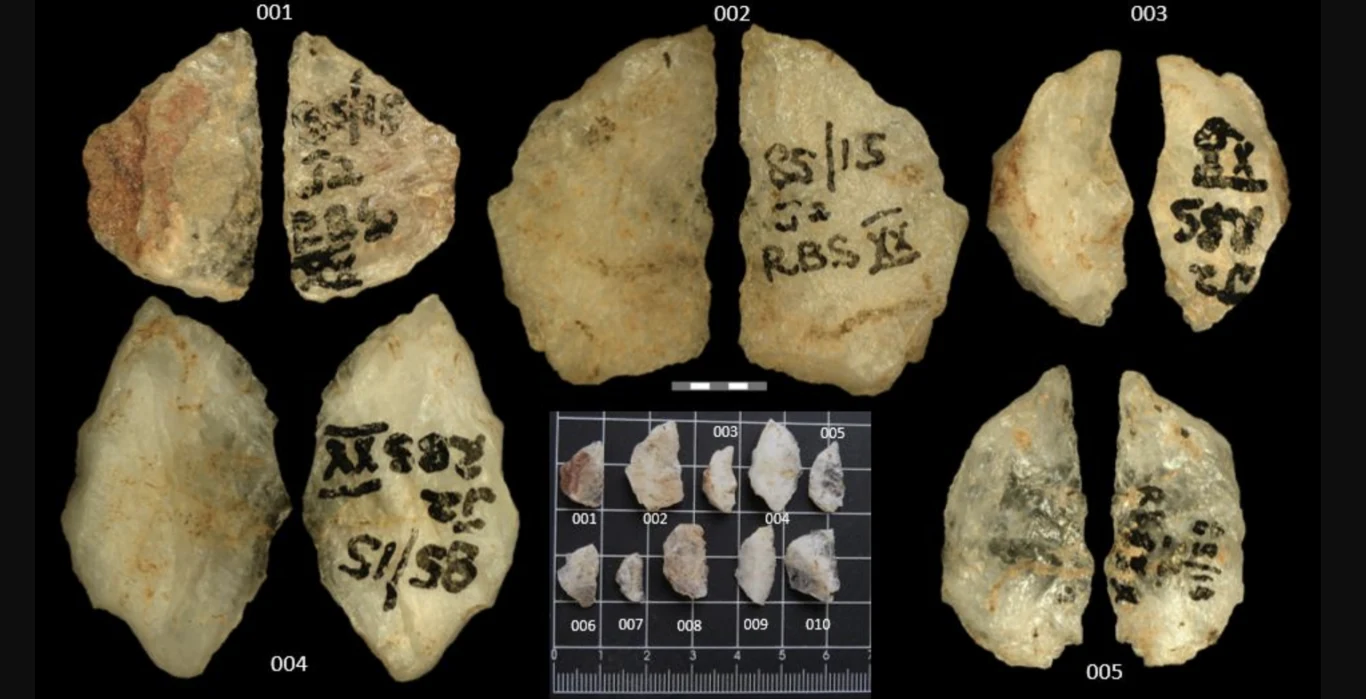 Archeolodzy zidentyfikowali ślady toksyn roślinnych na grotach sprzed 60 tys. lat. Najstarsza broń chemiczna świata? Pradawne narzędzia kamienne ułożone w kilku rzędach na czarnym tle, z widocznymi oznaczeniami i numerami inwentaryzacyjnymi. Centralnie umieszczona jest skala pomiarowa oraz powiększony widok mniejszych przedmiotów.