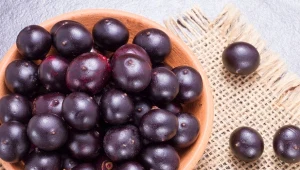 Jagody acai.