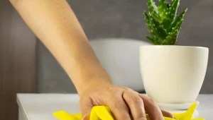 Kurz w domu jest częstym alergenem powodującym u osób wrażliwych problemy z oddychaniem.