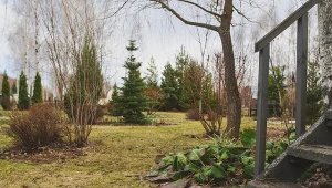 Jak zabezpieczyć ogród, by gryzonie nie robiły sobie w nim kryjówek?