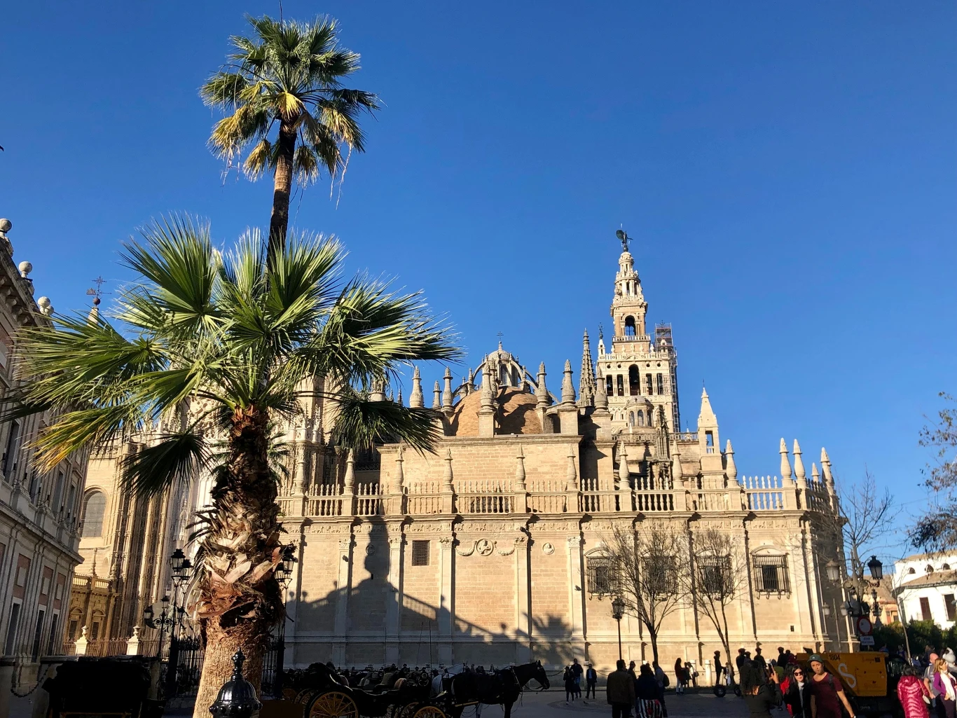 Gotycka katedra z wysoką wieżą Giralda, otoczona palmami, podkreślona przez błękitne niebo, z cieniem rzucanym na fasadę budynku i przechodniami spacerującymi wzdłuż placu.