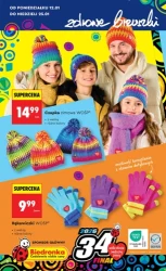 Хіти та натхнення - Ladybird