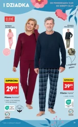 Хіти та натхнення - Ladybird