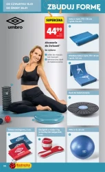 Хіти та натхнення - Ladybird