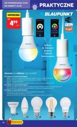 Хіти та натхнення - Ladybird