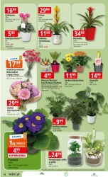 Dzień Babci i Dziadka w dobrej cenie - E.Leclerc