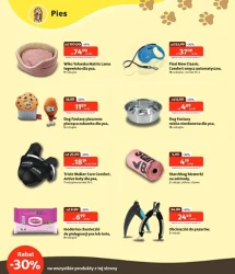 Karnawał promocji - Kakadu