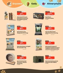 Karnawał promocji - Kakadu