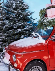 Zima 2025/2026 - Apart