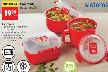 Контейнер Sistema