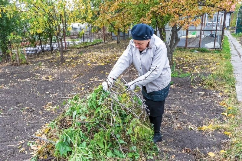 Palenie gałęzi w ogrodzie jest regulowane przepisami