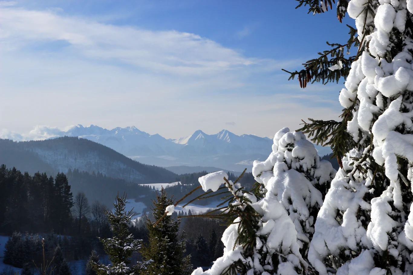 Szczawnica to także wyjątkowe uzdrowisko, które oferuje piękne widoki, malownicze szlaki i lecznicze wody mineralne