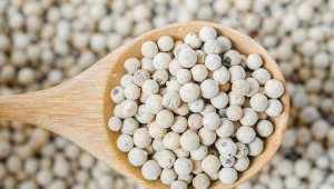 Królował na stołach arystokracji. Dziś nadal nie wszyscy go znają