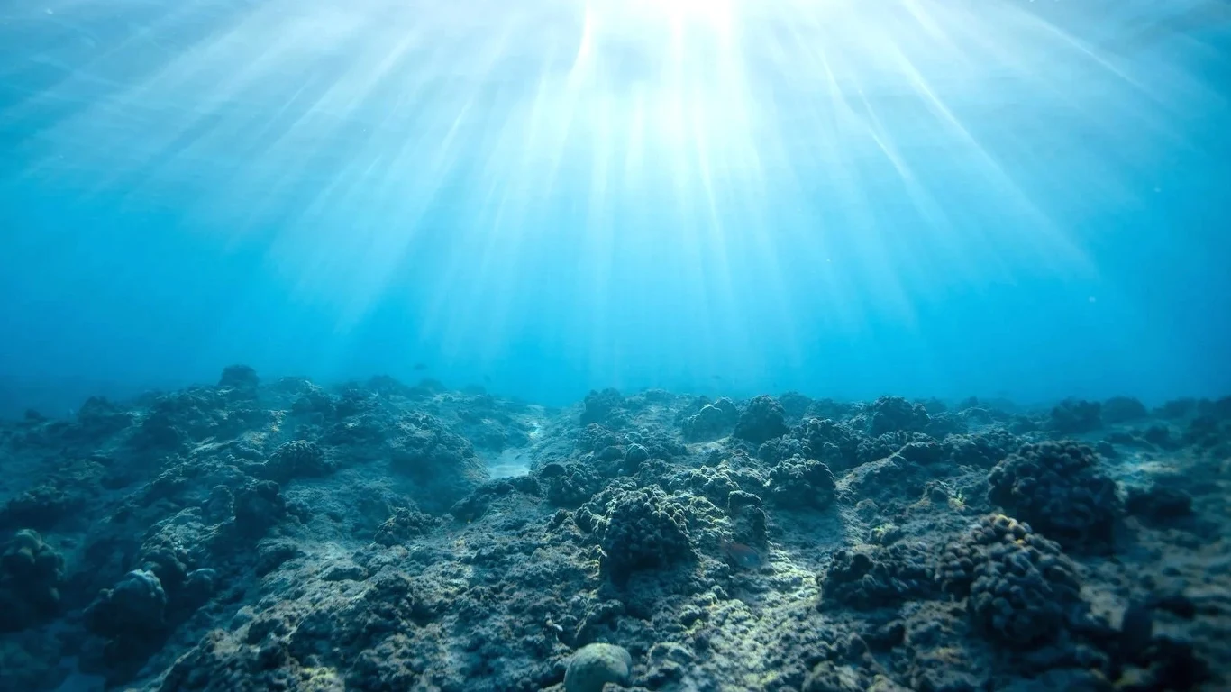Ślady dawnych cywilizacji na dnie Morza Bałtyckiego Ślady dawnych cywilizacji na dnie Morza Bałtyckiego