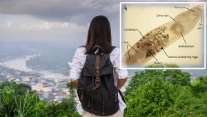 Galapagos skrywa nieznane zagrożenia? Kobieta wróciła z "pamiątką" w oku