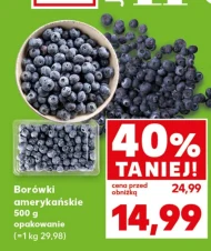 Borówki amerykańskie