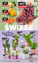 Dobry tydzień zaczyna się tanio - Netto