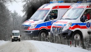 Podkarpackie. 82-latek potrącił 6-letnie dziecko, kierowca nie żyje