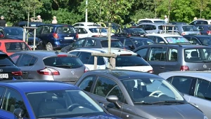 Licytacje samochodów w skarbówce