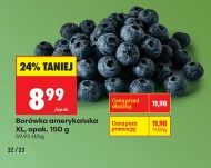 Borówka amerykańska